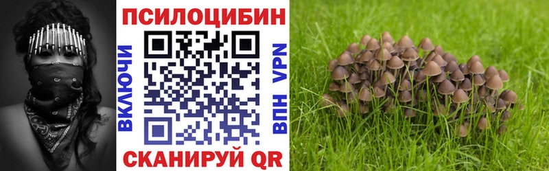 hydra рабочий сайт Кирс Псилоцибиновые грибы Psilocybine cubensis