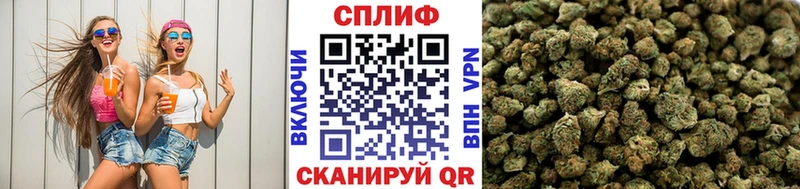 купить наркоту  Кирс  Марихуана планчик 